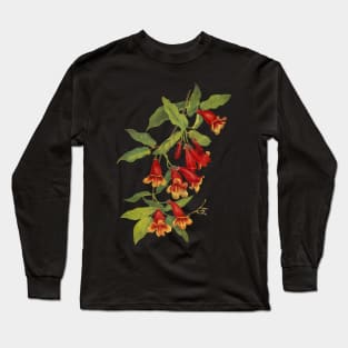 Crossvine - Bignonia capreolata - botanical illustration Long Sleeve T-Shirt